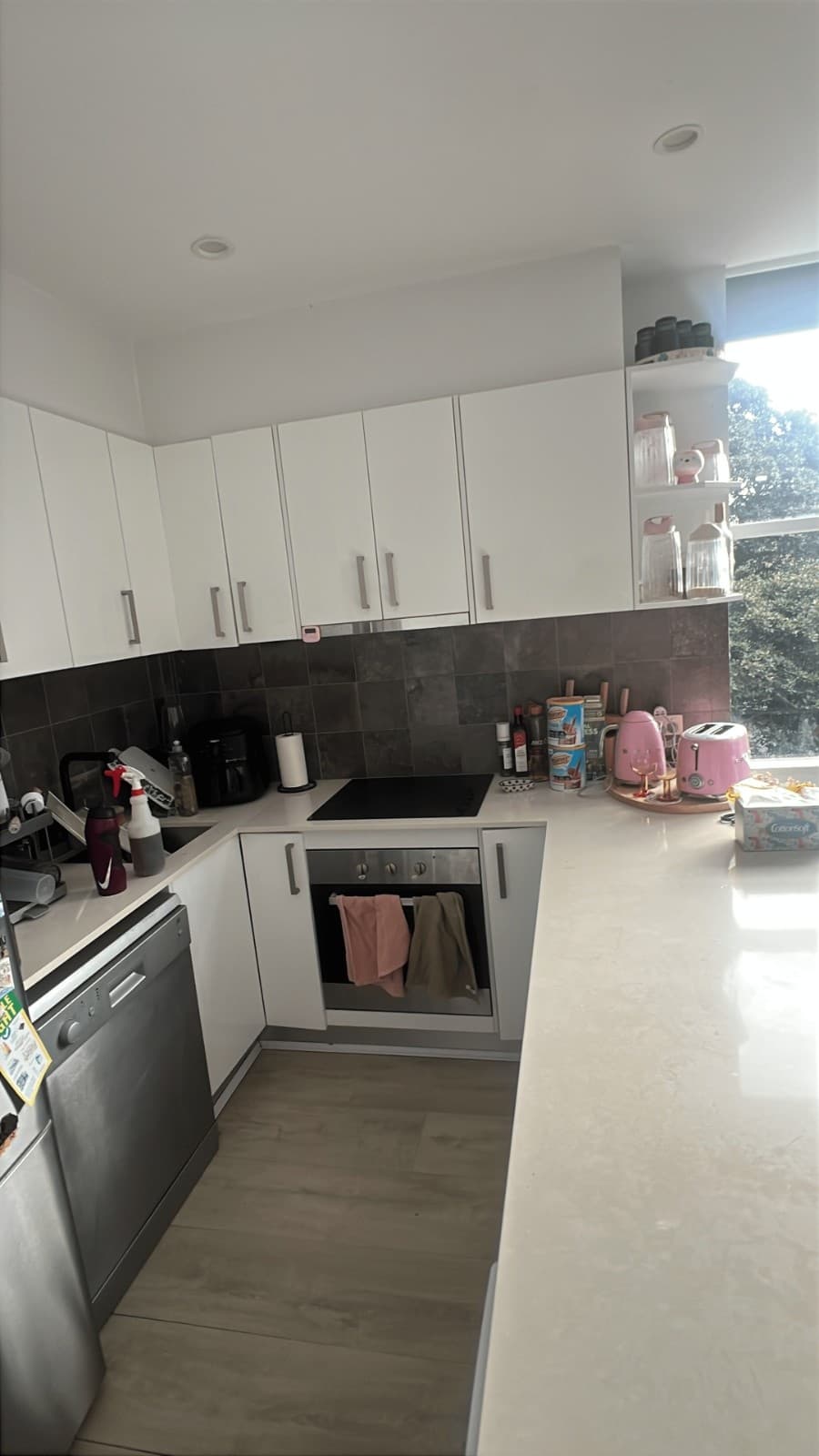 Kitchen Cleaning before cleaning